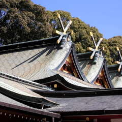 投稿日:2025年7月27日 写真