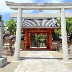 投稿日:2025年6月13日 写真