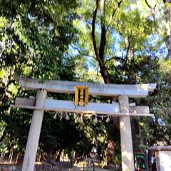 日野神社鳥居(投稿日:2025年12月6日) 写真