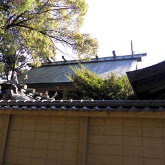 東天神社(投稿日:2025年7月27日) 写真