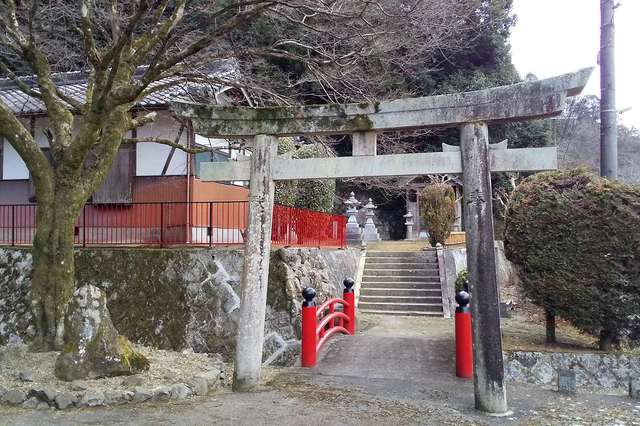 写真