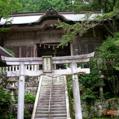 駒宇佐八幡神社(投稿日:2025年8月6日) 写真