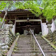 住吉神社(投稿日:2025年10月14日) 写真