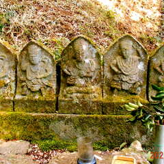 二村神社(投稿日:2025年8月25日) 写真