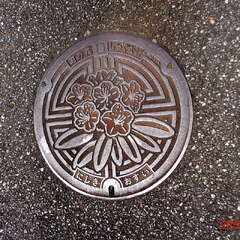 二宮神社(投稿日:2025年10月19日) 写真