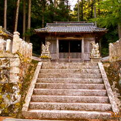 追入神社(投稿日:2025年8月25日) 写真
