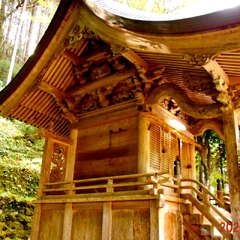 追手神社(投稿日:2025年8月25日) 写真