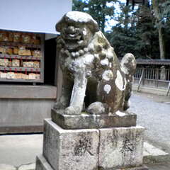 投稿日:2025年7月27日 写真