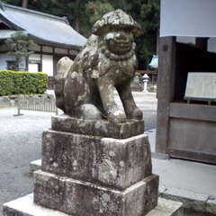 投稿日:2025年7月27日 写真