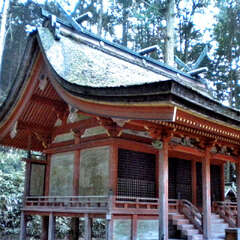 上鴨川住吉神社(投稿日:2025年7月27日) 写真