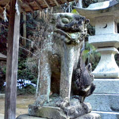 住吉神社(投稿日:2025年7月27日) 写真