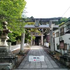 写真