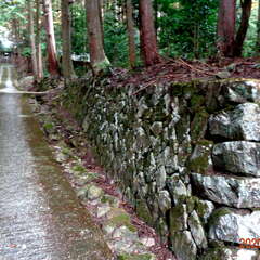 荒田神社(投稿日:2025年8月25日) 写真