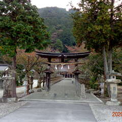 大歳金刀比羅神社(投稿日:2025年8月25日) 写真