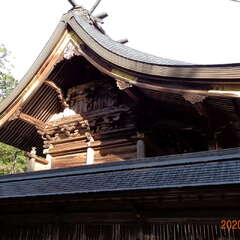 荒田神社(投稿日:2025年8月25日) 写真