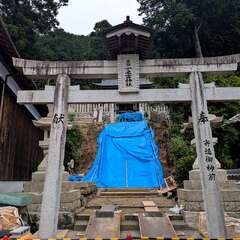 写真