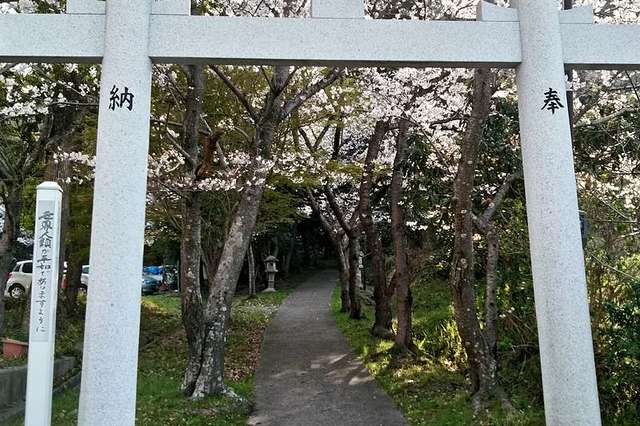 写真