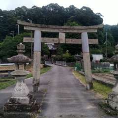 写真