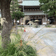 大光山 福海寺