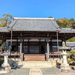 称念寺(投稿日:2025年11月8日) 写真