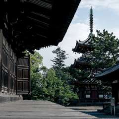 投稿日:2016年6月1日 写真