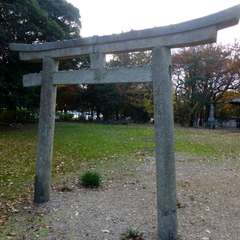 投稿日:2016年12月13日 写真