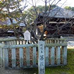 投稿日:2016年12月13日 写真