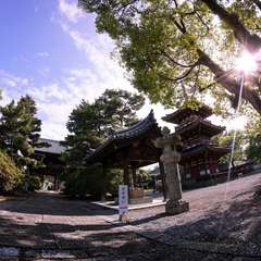 投稿日:2016年6月1日 写真