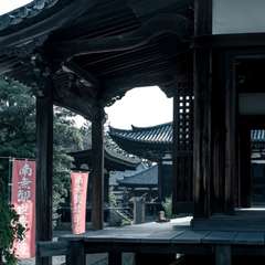 投稿日:2016年6月2日 写真