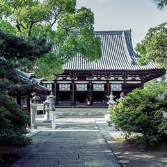 投稿日:2016年6月1日 写真