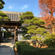 真光院