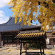 浄念寺