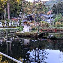 蓬莱山 普光寺(投稿日:2025年12月6日) 写真