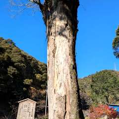 蓬莱山 普光寺(投稿日:2025年12月6日) 写真