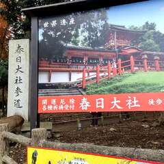 出張中にて(投稿日:2025年12月14日) 写真