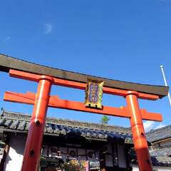 御霊神社鳥居(投稿日:2025年11月20日) 写真
