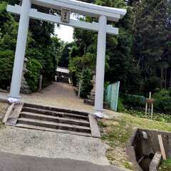 写真
