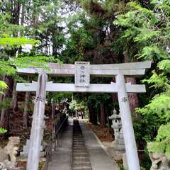 写真