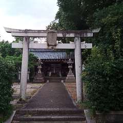 写真