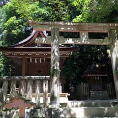 投稿日:2016年7月2日 写真