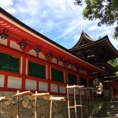 投稿日:2016年7月2日 写真