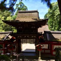 投稿日:2016年7月2日 写真