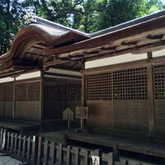 投稿日:2016年7月2日 写真