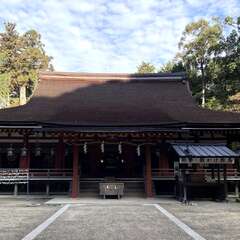 石上神宮(投稿日:2025年12月15日) 写真