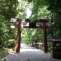 投稿日:2016年7月2日 写真