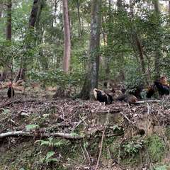 投稿日:2025年1月3日 写真