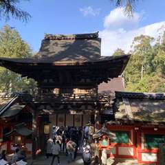 投稿日:2025年1月3日 写真