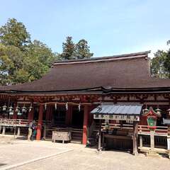 投稿日:2025年3月25日 写真