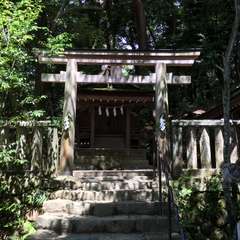 投稿日:2016年7月2日 写真