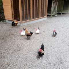 投稿日:2019年4月5日 写真